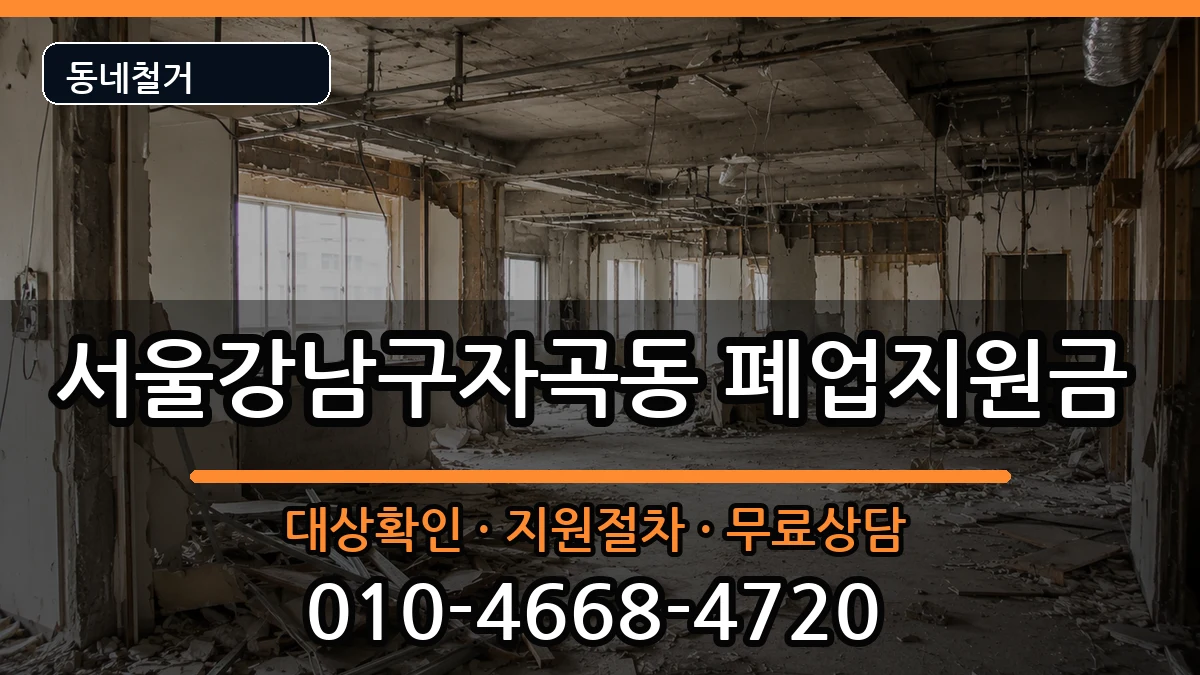 서울강남구자곡동 폐업지원금 서울강남구자곡동 폐업지원금 현장 처리 안내 이미지 3